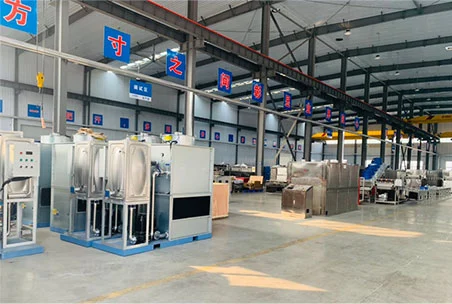 Company Profile