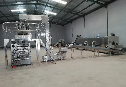 Macaroni Pasta Production Line in Zambia