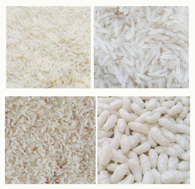 FRK Fortified Rice Kernel Production Line