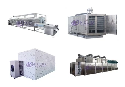 Characteristics and Applications of Different Drying Equipment