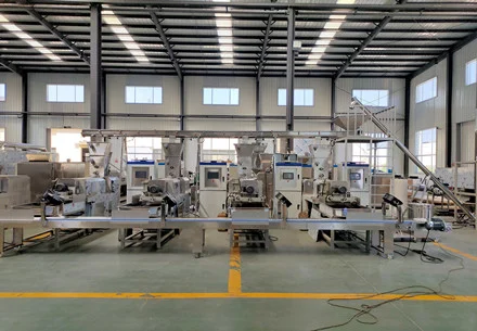 India FRK Production Line Client Case