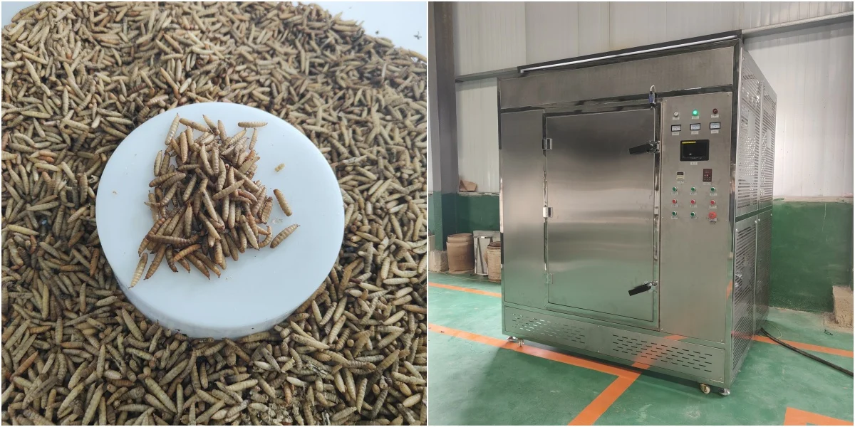 Good news! Big Sales for Cabinet Microwave Insect Dryer