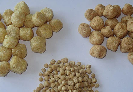 About Textured Soy Protein