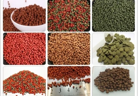 Characteristics and Comparison of Single Screw Extruder and Twin Screw Extruder in Producing Animal Feed