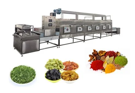 Microwave sterilization equipment: a powerful tool for modern food processing