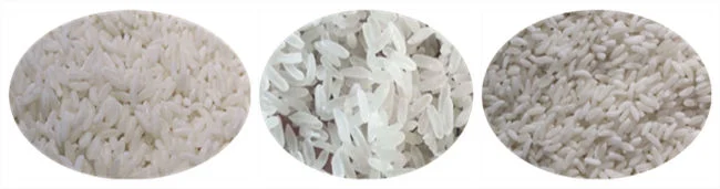 Instant Rice Machine