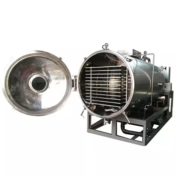 One of the Applications of Freeze Vacuum Dryer – Freeze-Dried Fruit Tea
