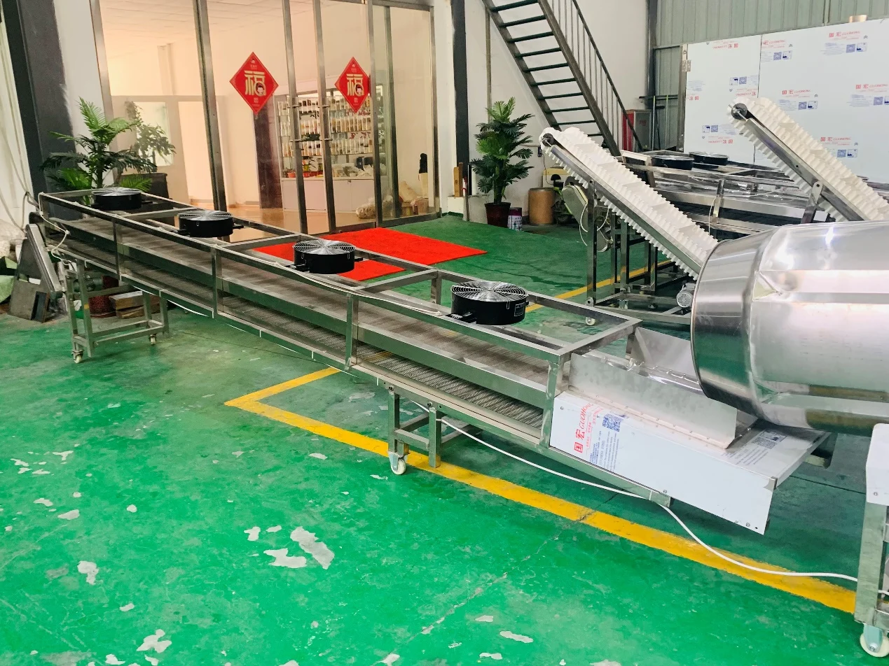 Fish feed production line inspection running for Nigeria client