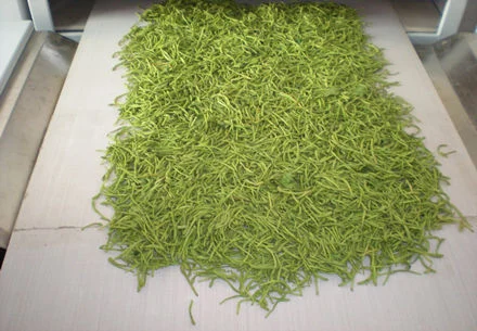Why choose Microwave Tea Fixing Machine?