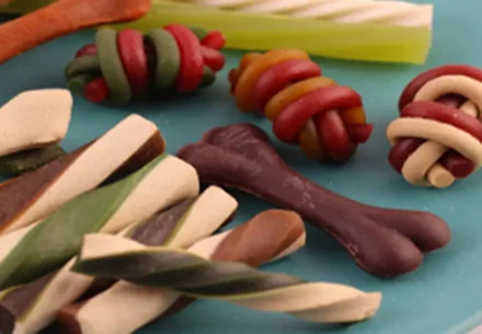 Analysis on the processing technology of pet chews