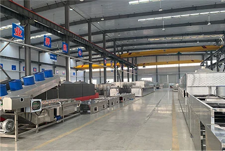 Company Profile