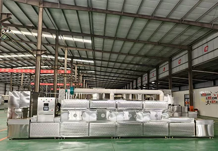 Maintenance of Industrial Microwave Machine