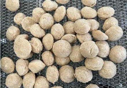Application of soy protein in food industry