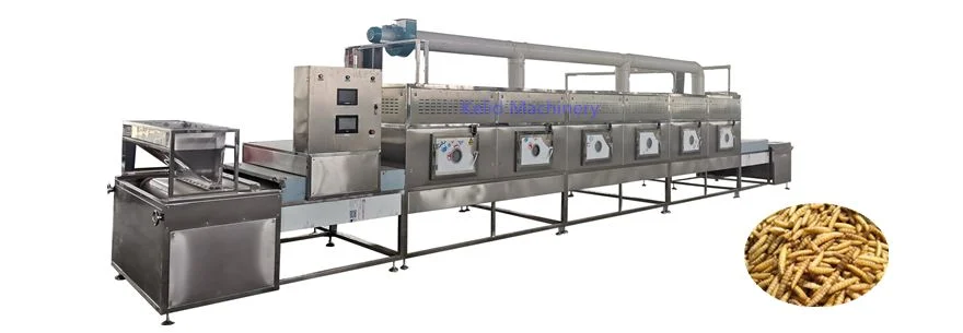 Microwave machine drying black soldier fly larvae to help circular economy