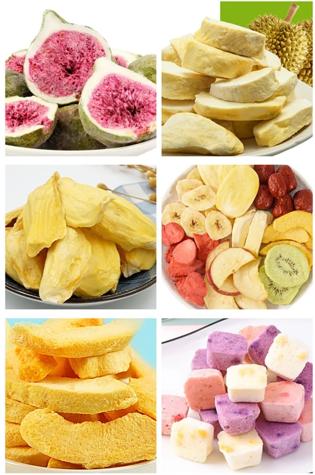 Multifunctional Freeze Vacuum Dryer