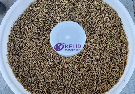 Batch type cabinet microwave insect dryer