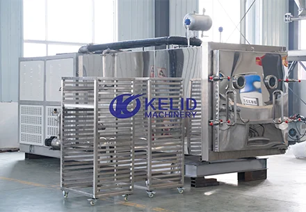 Vacuum Freeze Drying Equipment