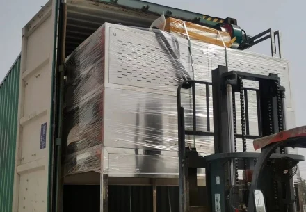 200KW Industrial Tunnel BSFL Microwave Drying Line Shipping to Australia