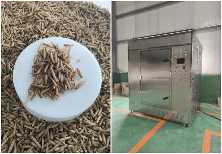 Good news! Big Sales for Cabinet Microwave Insect Dryer
